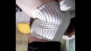 Holis soy vanetrans